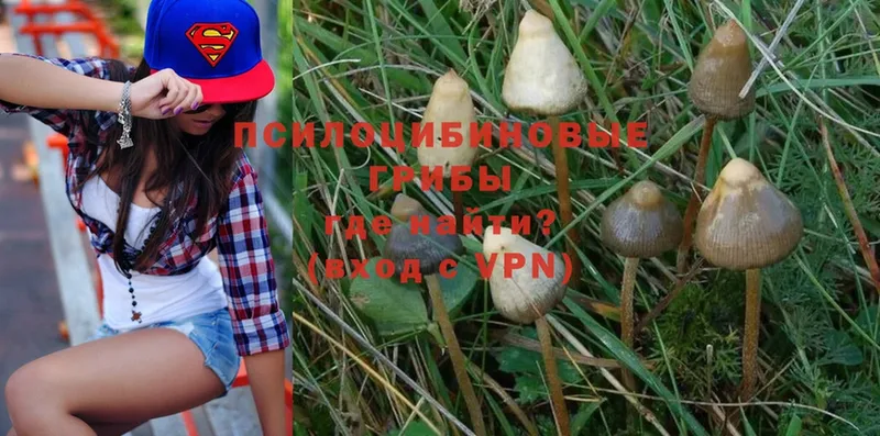 Галлюциногенные грибы MAGIC MUSHROOMS  Саранск 